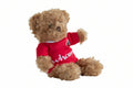 Teddy Eddie
